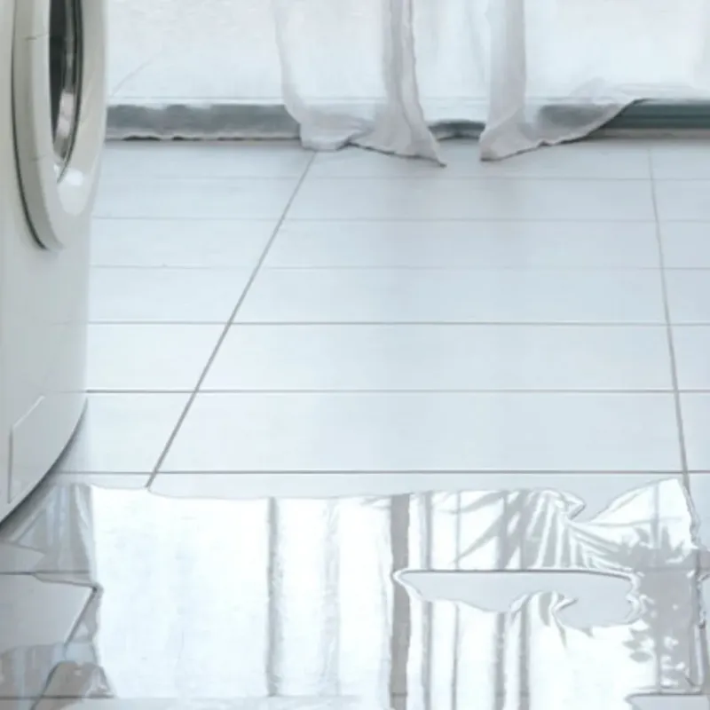 Appliance Leak Cleanup in Rose Hill, VA