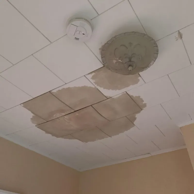 Ceiling Water Damage Repair in Rose Hill, VA
