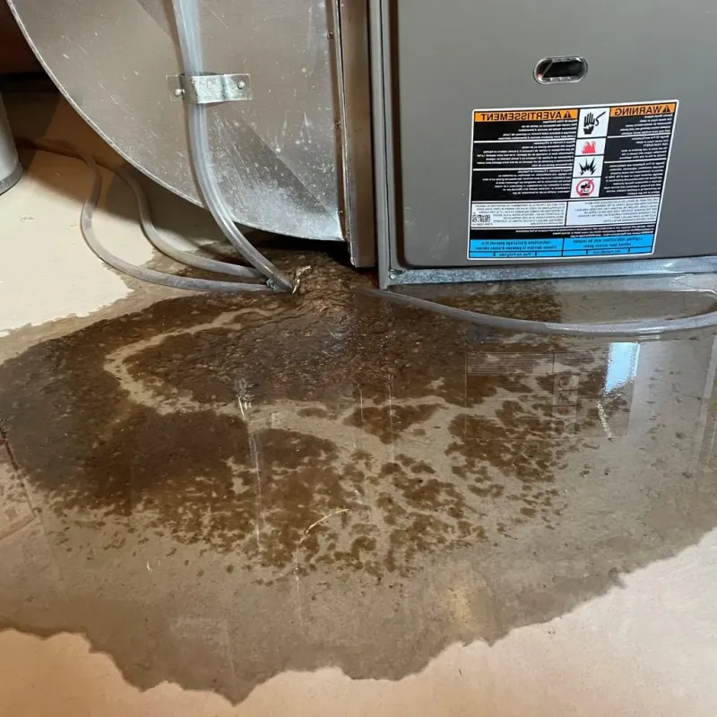Pipe Burst and Leak Restoration in Rose Hill, VA