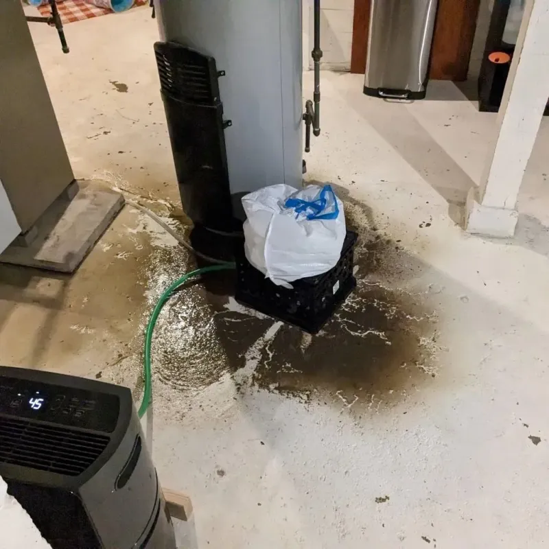 Sewage Backup Cleanup Service in Rose Hill, VA